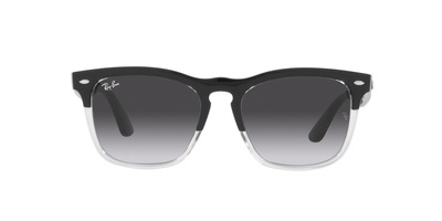 Okulary przeciwsłoneczne RAY-BAN 4487 66308G 54