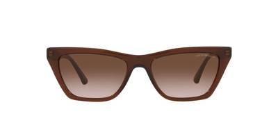 Okulary przeciwsłoneczne EMPORIO ARMANI 4169 591013 54