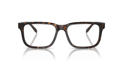 Okulary korekcyjne EMPORIO ARMANI 3218 5879 55